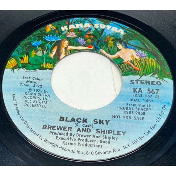 Brewer and Shipley Black Sky 45 Vinyl 70s Rock Promo Kama Sutra 567 - Picture 1 of 6